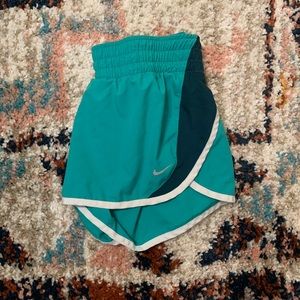 Nike Dri-Fit Shorts / Small